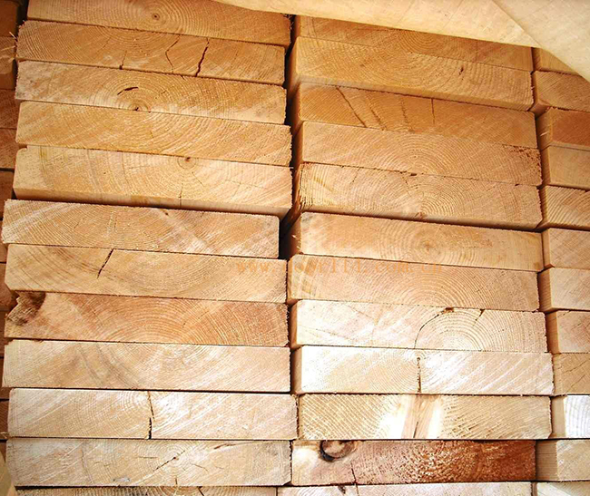 仁化智利辐射松方木