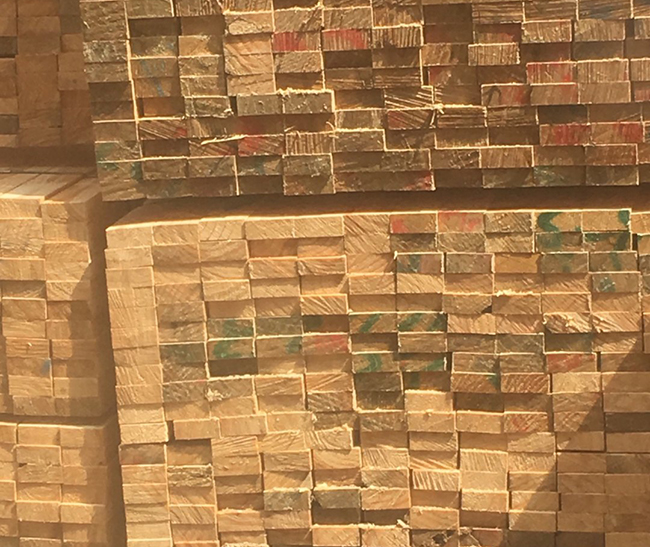 仁化新西兰进口松木